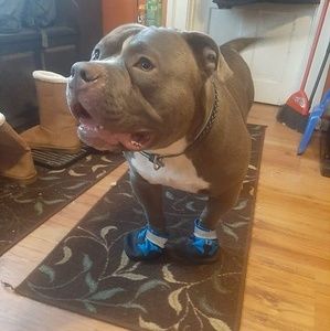 Meet your Posher, Pauliena